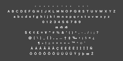 MC Macro Jecklin Font Poster 6