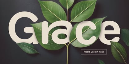 MC Macro Jecklin Font Poster 2