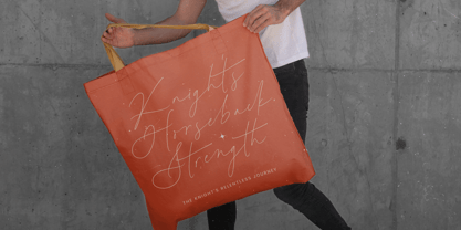 Antica Ratino Font Poster 13