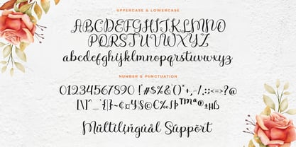 Nurila Script Font Poster 7