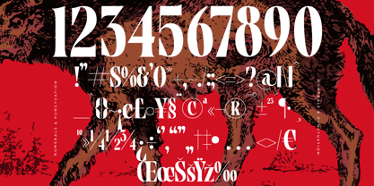 Tieldsa Font Poster 14