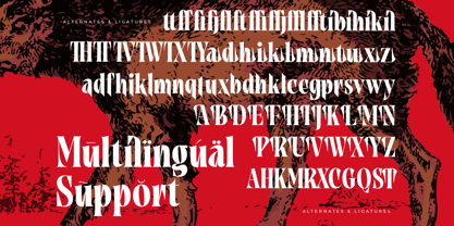 Tieldsa Font Poster 15