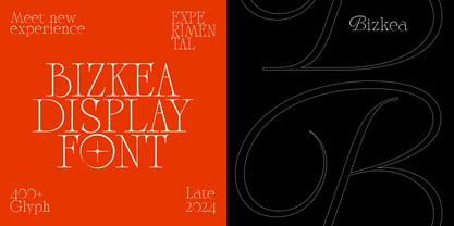 UN Bizkea Font Poster 3