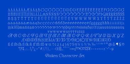 UN Bizkea Font Poster 11