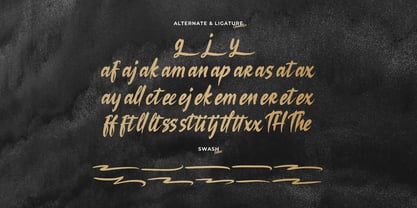 Losiento Font Poster 15