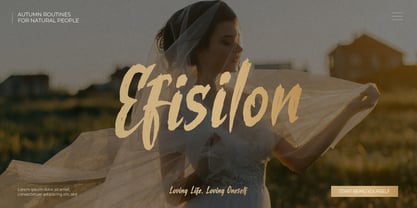 Losiento Font Poster 3