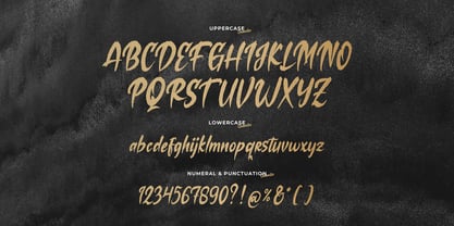 Losiento Font Poster 13