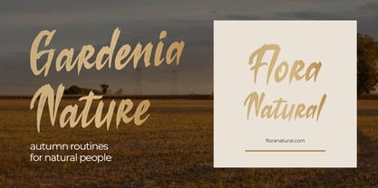 Losiento Font Poster 9