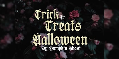 Negav Thrust Font Poster 11