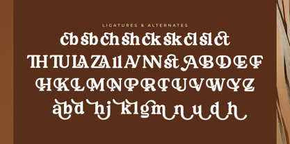 Martin Breaks Font Poster 8