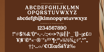 Martin Breaks Font Poster 7