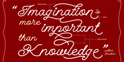 Qinan Script Font Poster 2