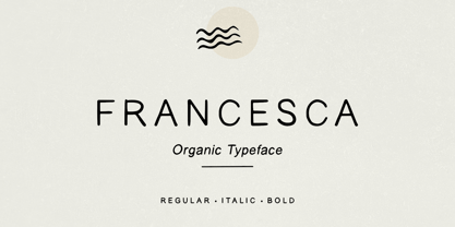 Francesca Sans Font Poster 1