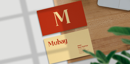 Roaze Font Poster 11