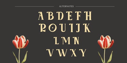 Roaze Font Poster 8