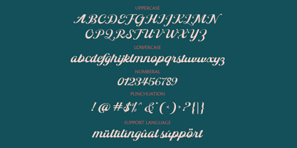 Hollyland Script Font Poster 9