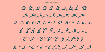 Hollyland Script Font Poster 10