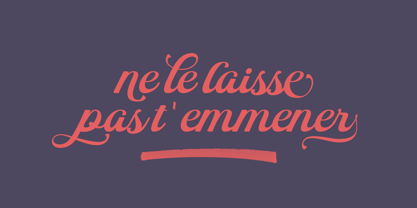 Hollyland Script Font Poster 5