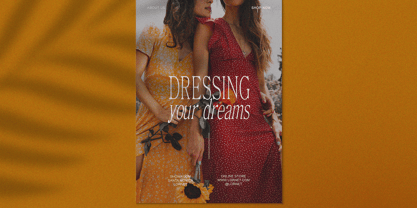 Euphoria Serif Font Poster 2