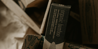 Euphoria Serif Font Poster 7