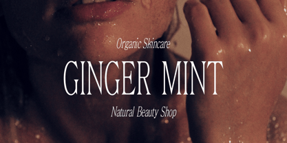 Euphoria Serif Font Poster 4