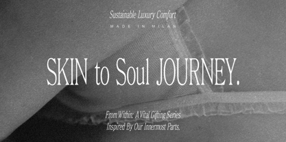 Euphoria Serif Font Poster 9