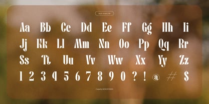 Pany Anemov Font Poster 13