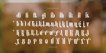 Pany Anemov Font Poster 15