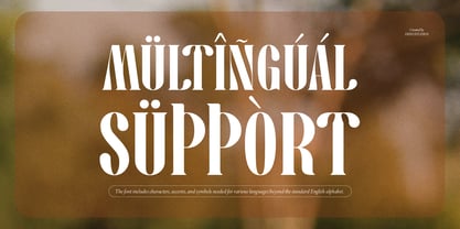 Pany Anemov Font Poster 14