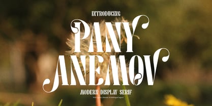 Pany Anemov Font Poster 1