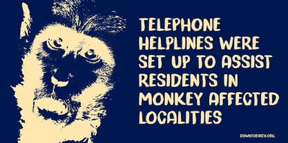 Trouble Monkey Font Poster 2