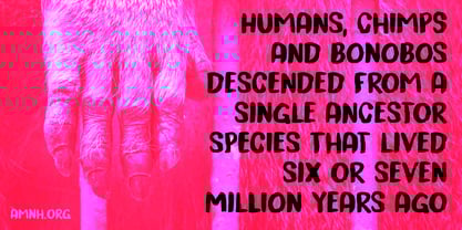 Trouble Monkey Font Poster 4