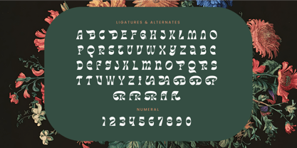 Tanqier Font Poster 14