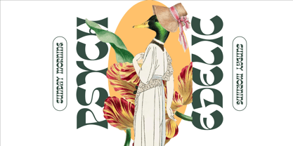 Tanqier Font Poster 12