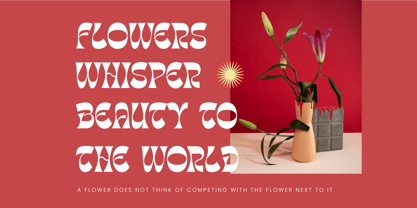 Tanqier Font Poster 13