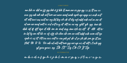 Chifest Skater Font Poster 15