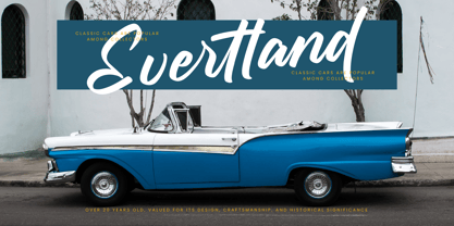 Chifest Skater Font Poster 11