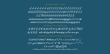 Chifest Skater Font Poster 14