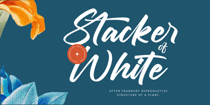 Chifest Skater Font Poster 9