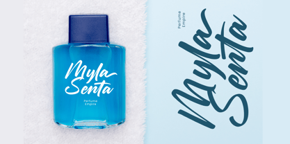 Chifest Skater Font Poster 2