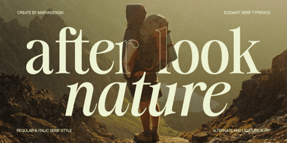 Noefire Font Poster 4