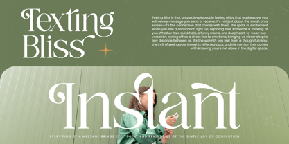 Nostalgic Flashy Font Poster 2