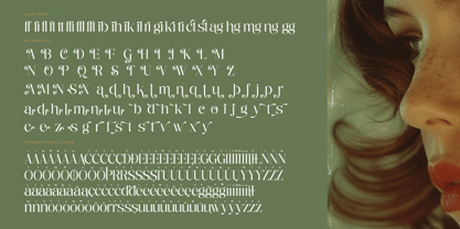 Nostalgic Flashy Font Poster 15