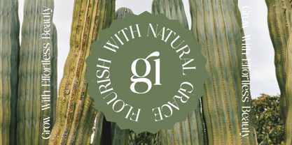 Nostalgic Flashy Font Poster 3