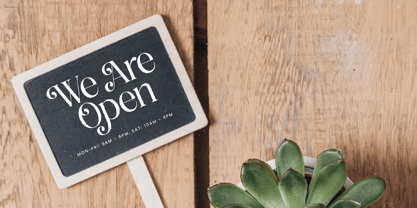 Nostalgic Flashy Font Poster 4