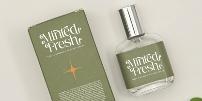 Nostalgic Flashy Font Poster 6