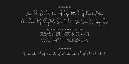 Teliti Font Poster 2