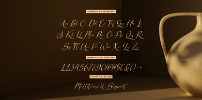 Daylight Welington Font Poster 6