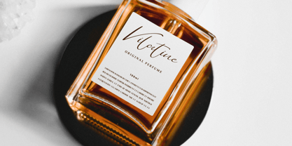 Daylight Welington Font Poster 3