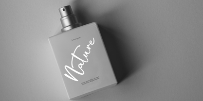 Salystiga Font Poster 7